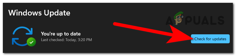 Network Profile Type Missing in Windows 11