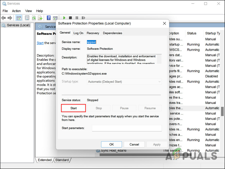 Click on tthe Start button