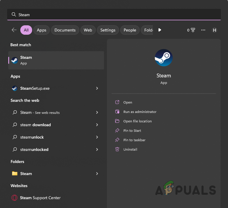 Opening Steam as Admin