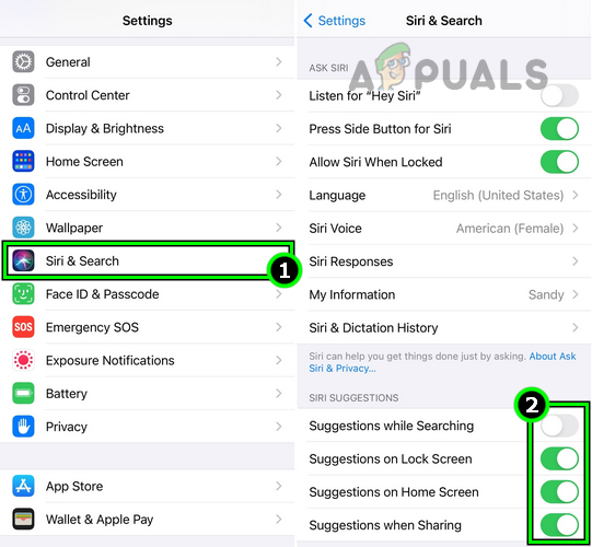 Disable Siri Suggestions in the iPad's Settings