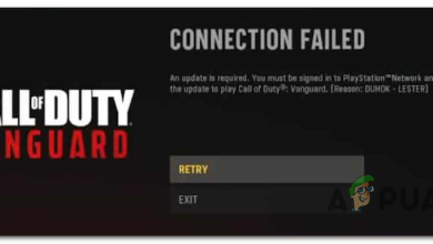 How to Fix The COD Vanguard Duhok Lester