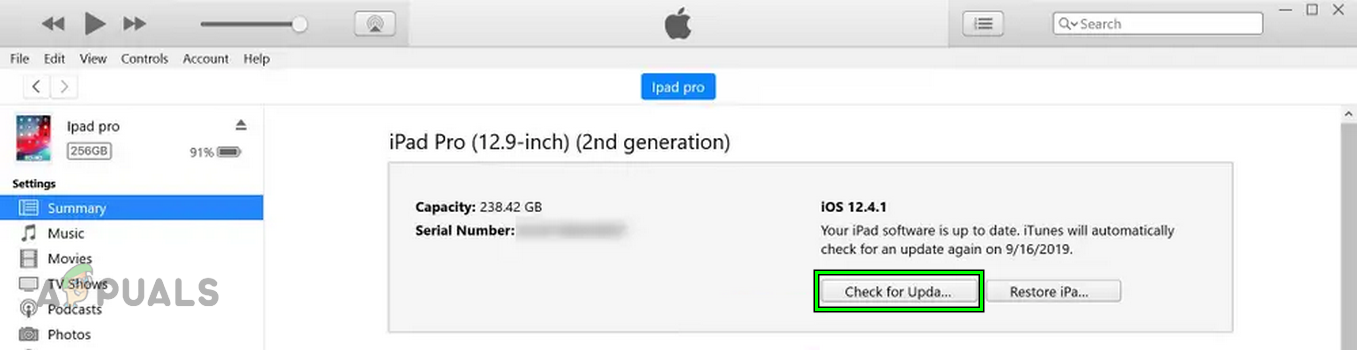Check for iPadOS Update Through iTunes