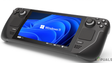 Install Windows 11 on your Steam Deck