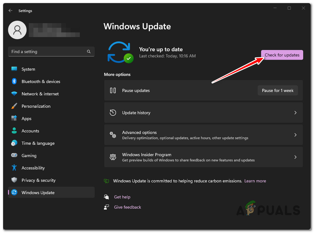 Checking for Updates
