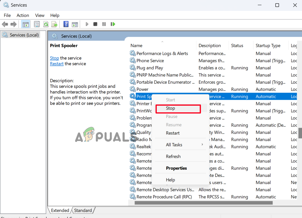 brother scanner not working in windows 11