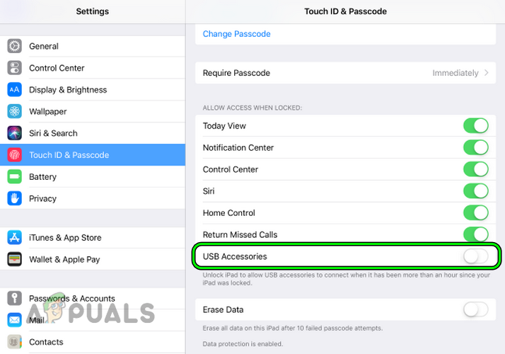 Enable USB Accessories in the iPad's Settings