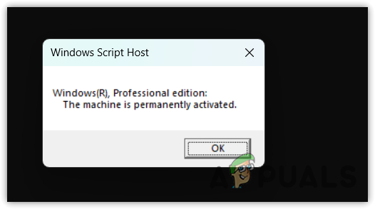 Checking Windows activation status