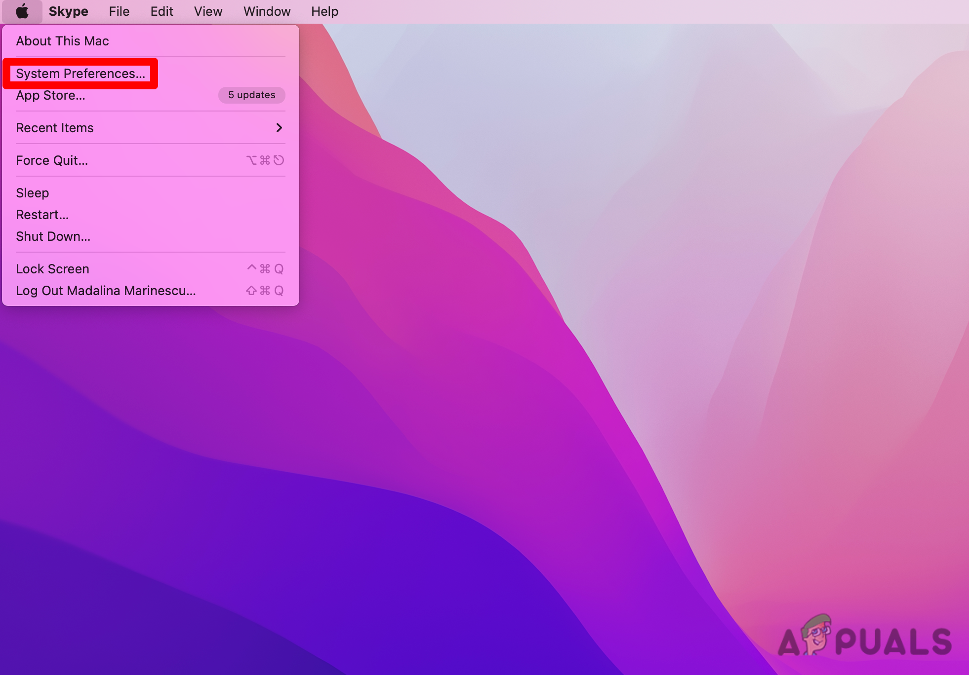 Accessing the System Preferences menu