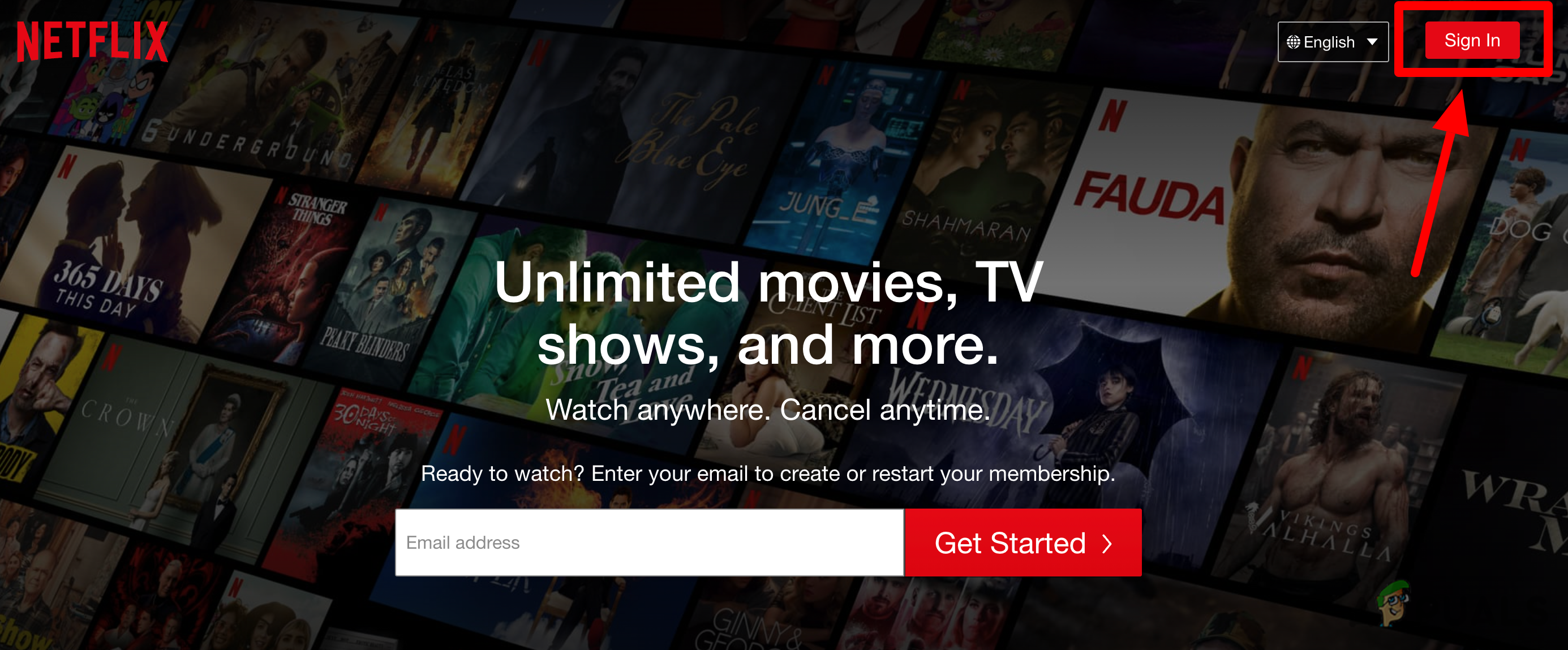 Signin in with your Netflix account