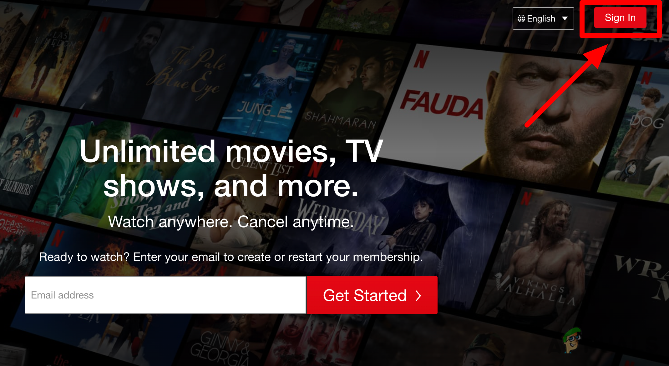 SIgning in with your Netflix account