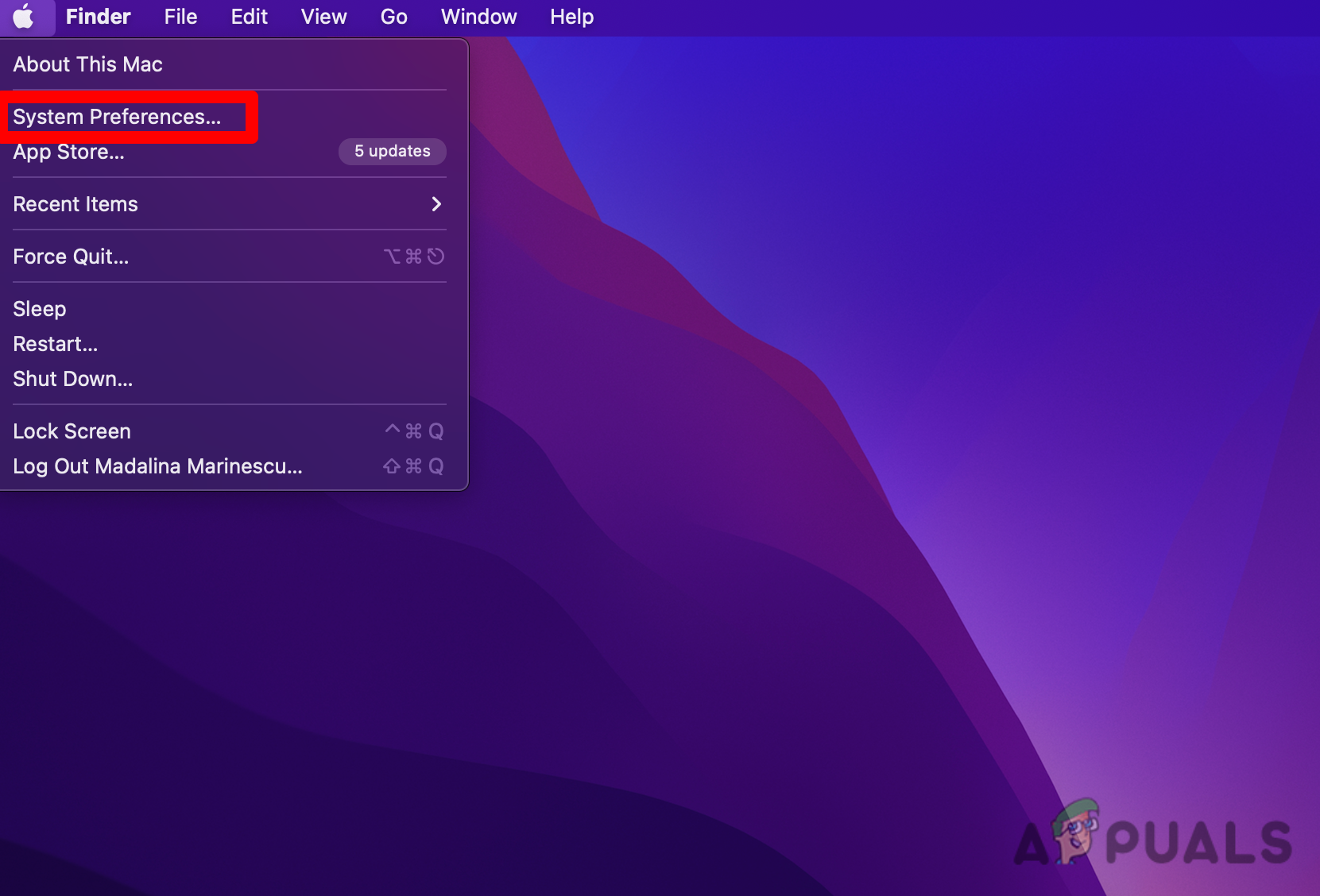 Access the System Preferences menu