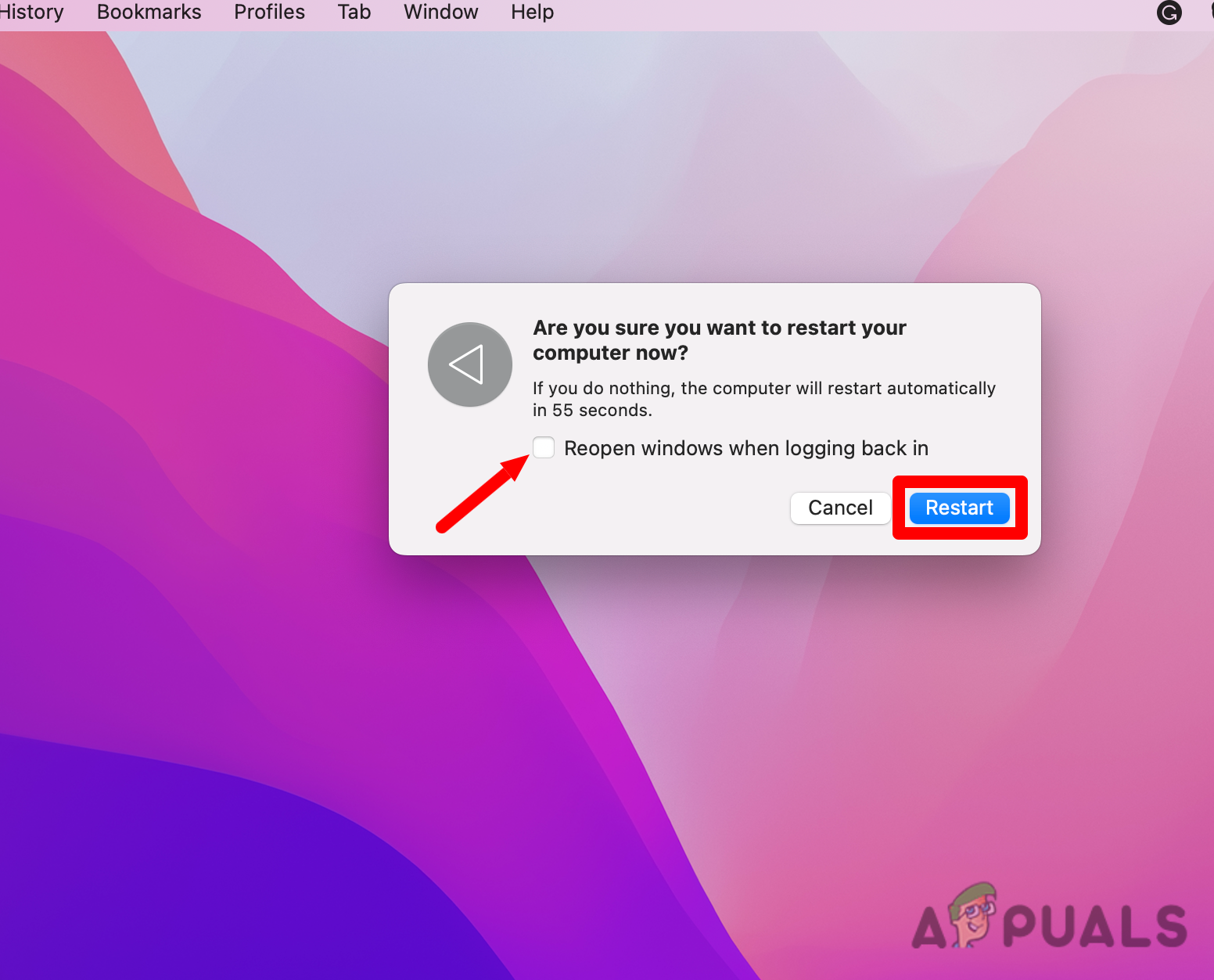 Unchecking the 'reopen windows setting'