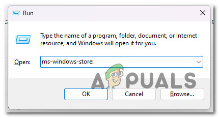Open up the Windows Store