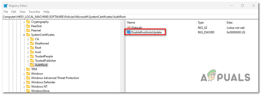 Access the DisableRootAutoUpdate value