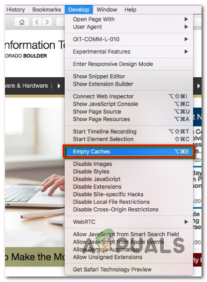 Empty the Safari cache