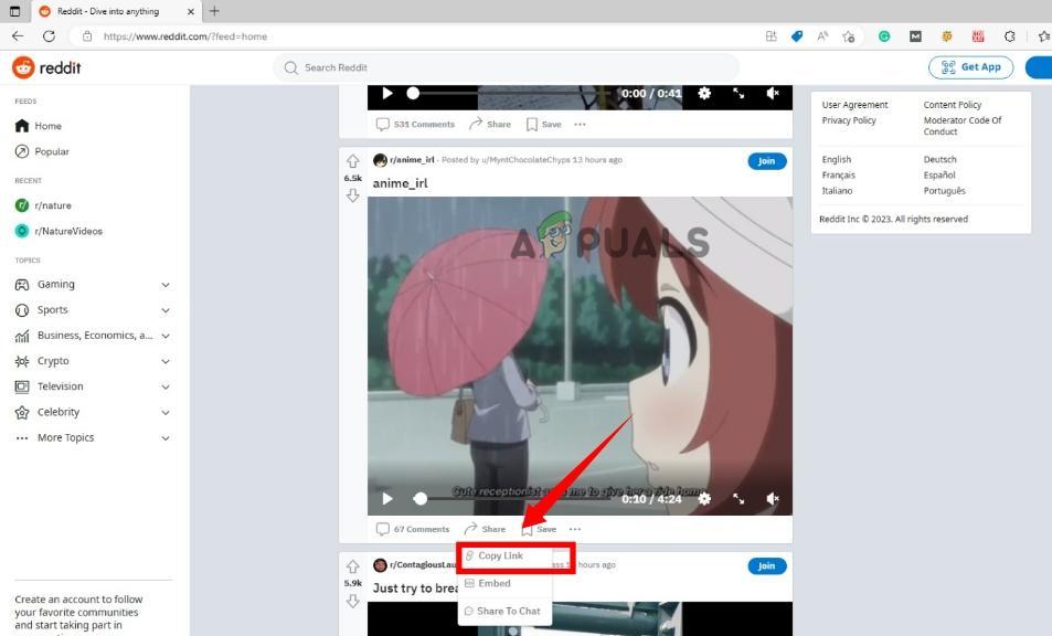 Click Share and copy the video link