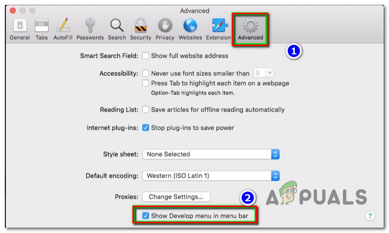 Showing the Developing tab in Safari