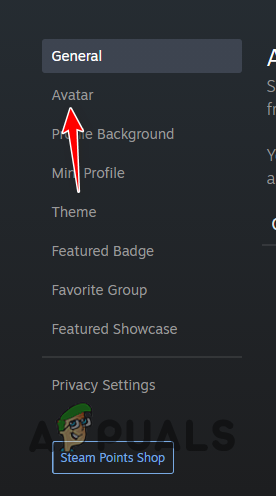 Navigating to Steam Avatar