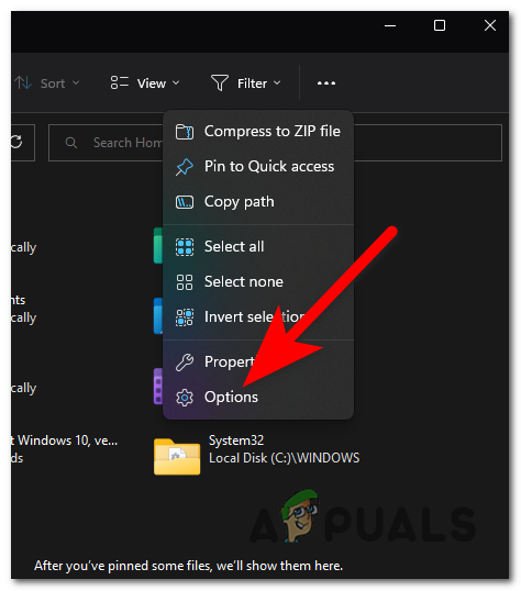 Opening the Options Folder