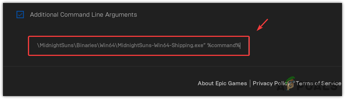 Adding Command to the Epic Games Launch Options