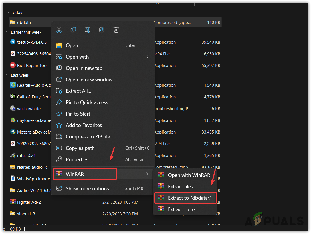 Extracting dbdata.dll ZIP folder