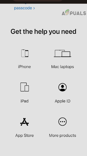 Apple Support Services