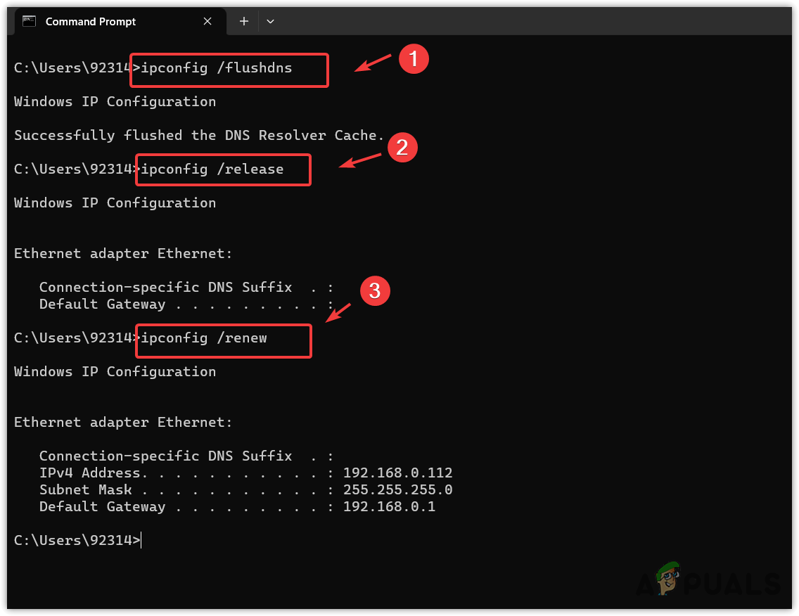 Flushing DNS and Reassigning a Local IP Address