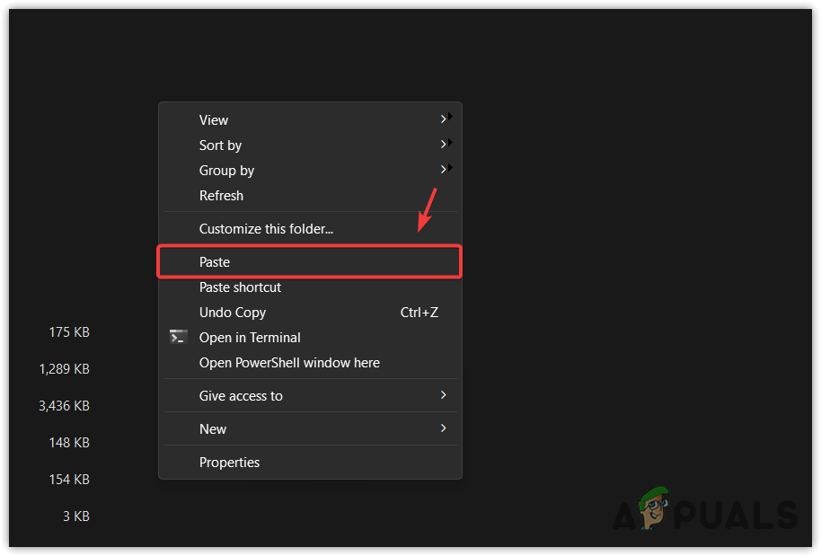 Pasting the DLL files into the game directory