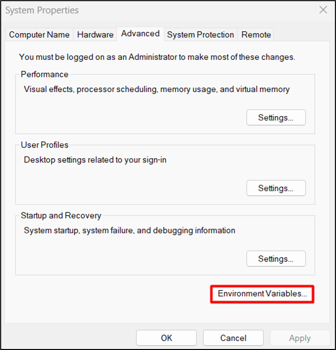 Environment Variable