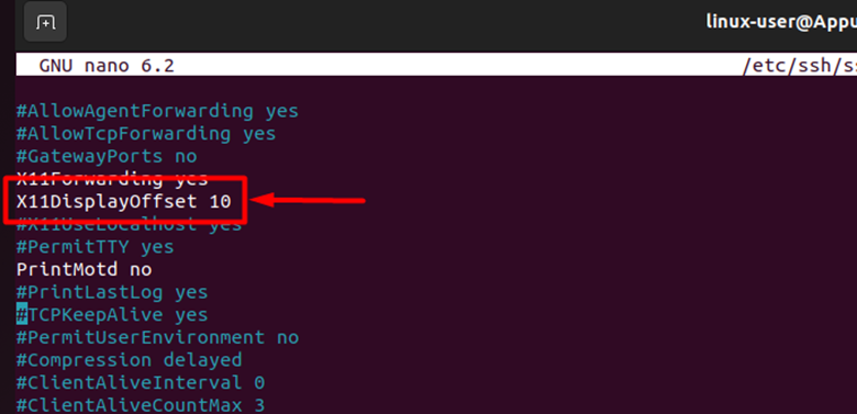 X11DisplayOffset enabled