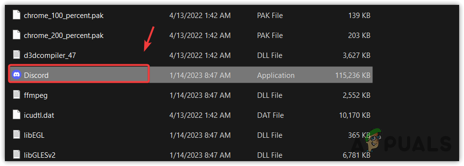 Running Discord application