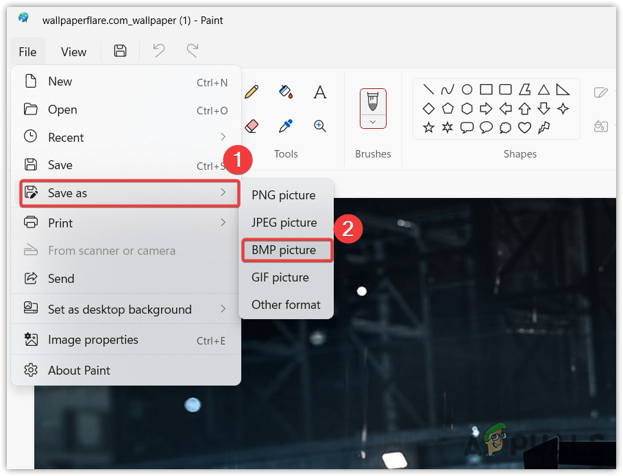 Saving a Wallapaper in a BMP format