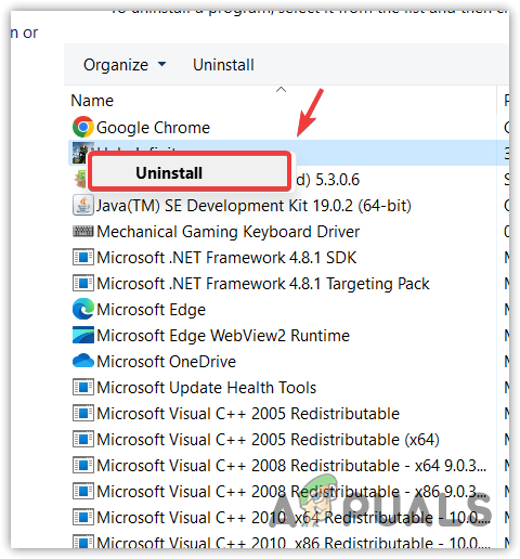 Uninstalling Suspicious Programs