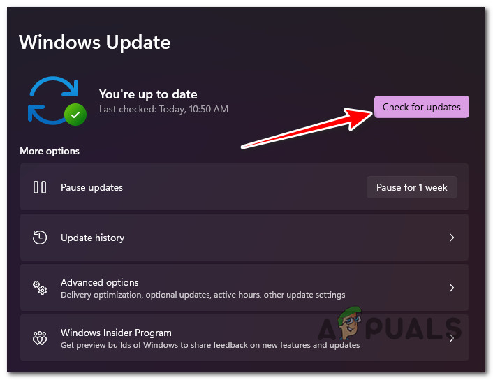 Checking for Updates
