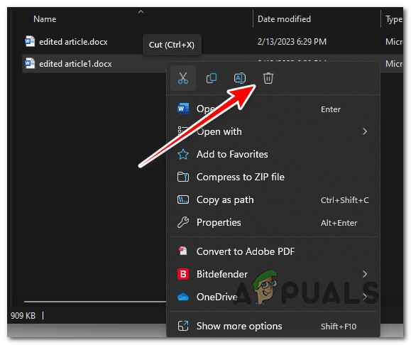 Delete the duplicated file
