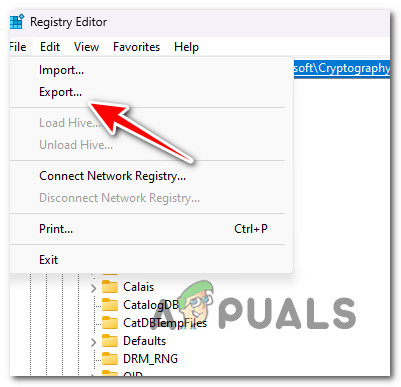 Exporting the specific branch