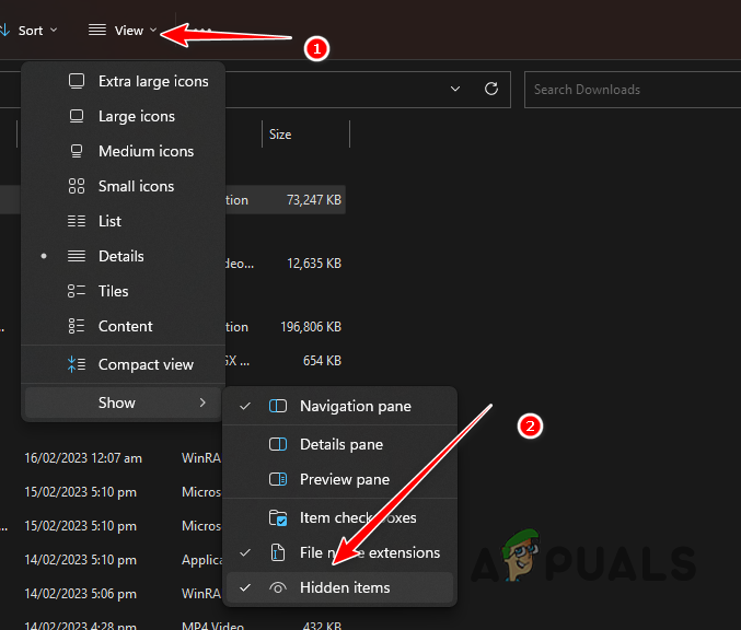 Viewing Hidden Files
