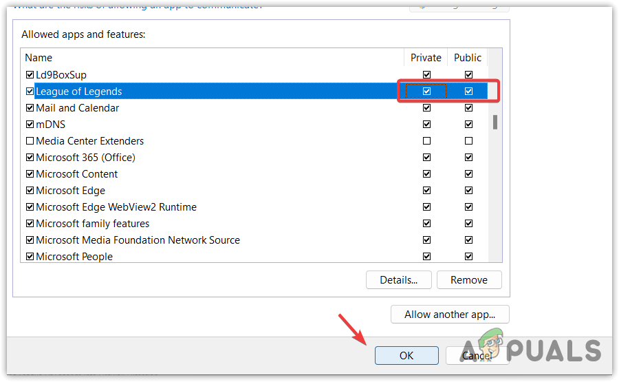 Allowing Private and Public Network for the League Of Legends