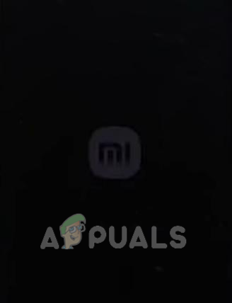 MI logo appears on the screen