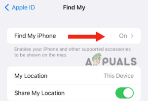Find My iPhone options