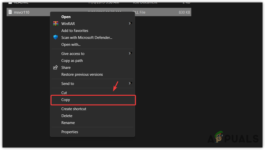 Copying the DLL file