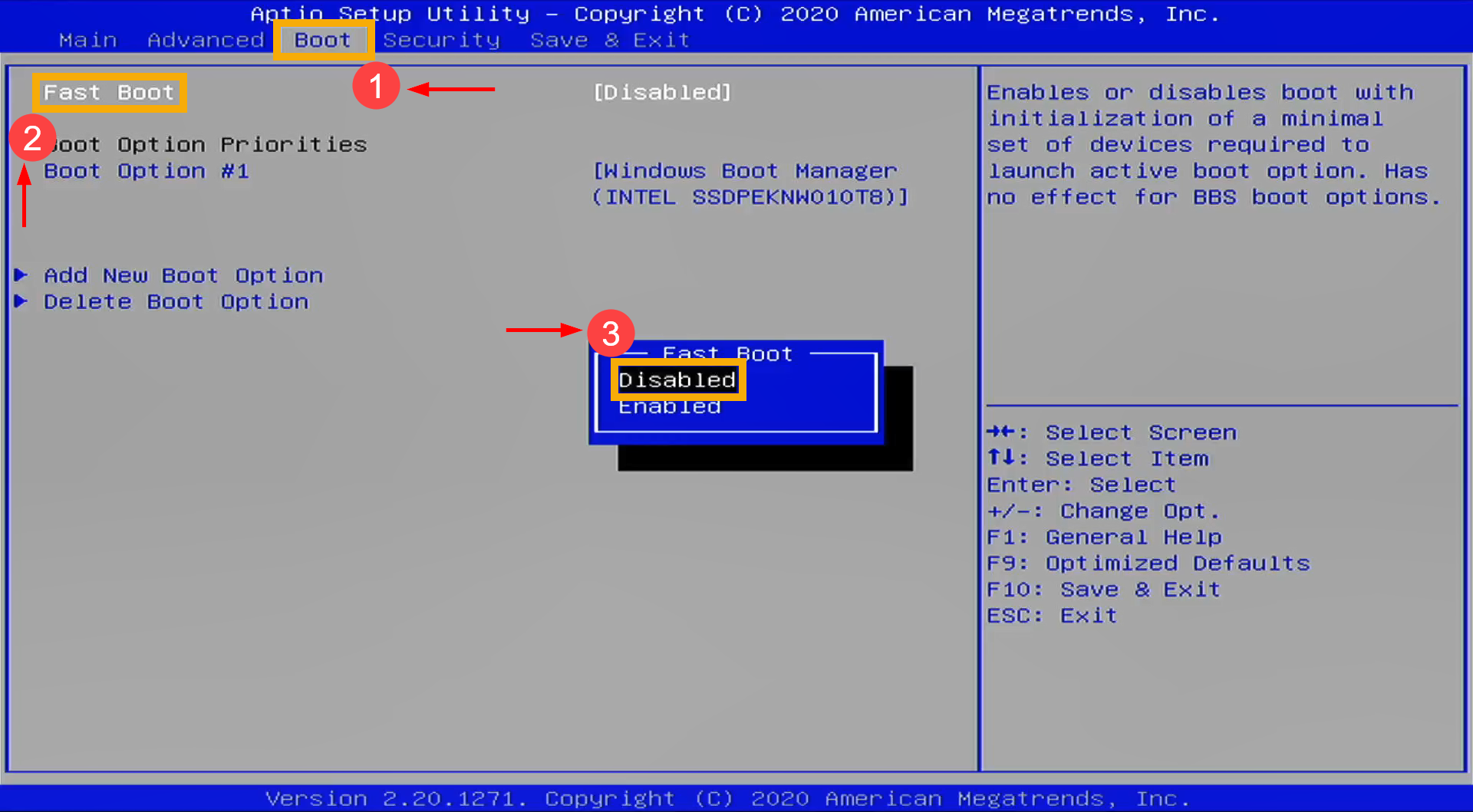 Disabling fast boot in BIOS