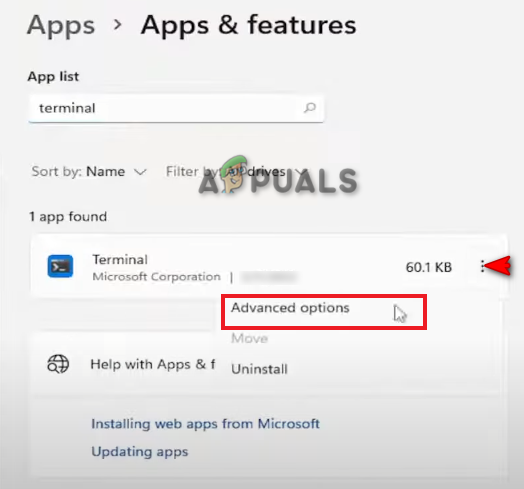 Opening terminal advanced options 