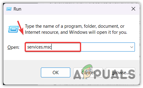 Opening Services Window