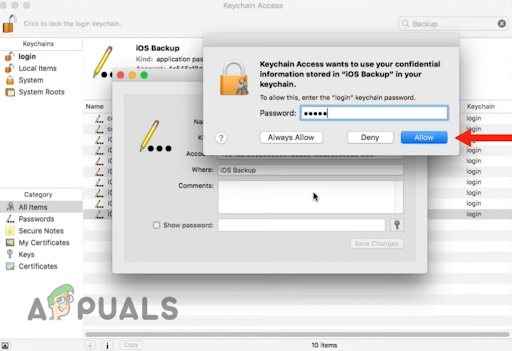 Entering the Mac administrator password and clicking on Allow
