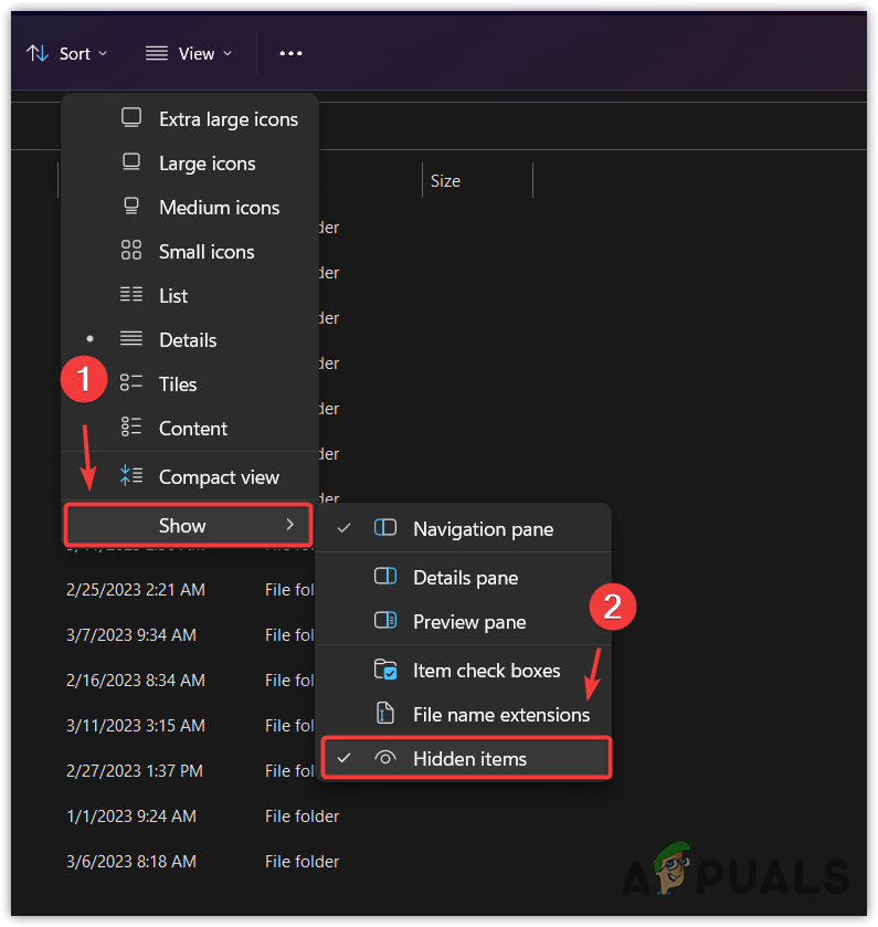Viewing Hidden Items of system disk