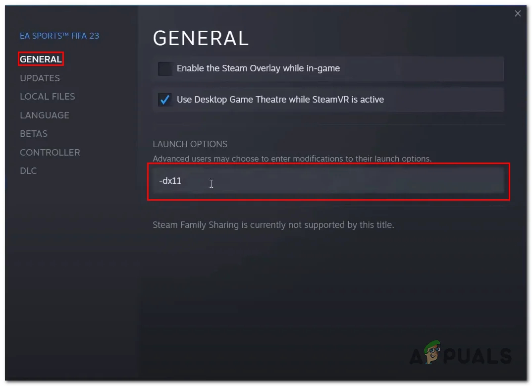 Modifying Launch Option