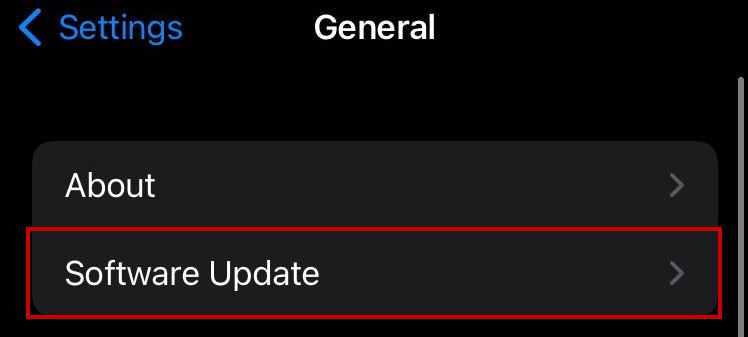 Entering iPhone's software update tab