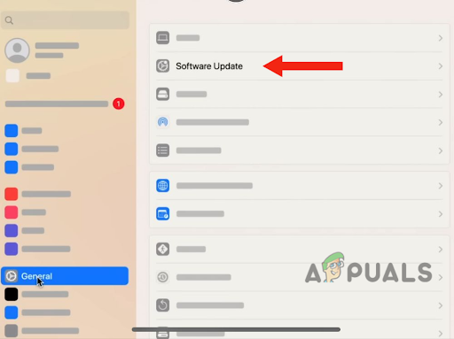Software Update options