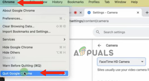 Click on Chrome, and then on Quit Google Chrome